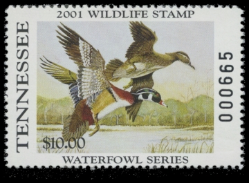 Scan of 2001 Tennessee Duck Stamp