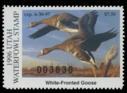 Scan of 1996 Utah Duck Stamp
