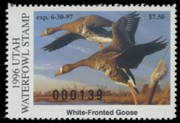 Scan of 1996 Utah Duck Stamp