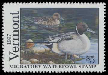Scan of 1997 Vermont Duck Stamp