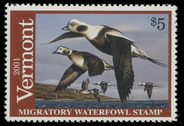 Scan of 2001 Vermont Duck Stamp