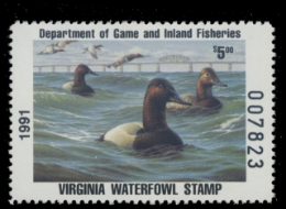 Scan of 1991 Virginia Duck Stamp