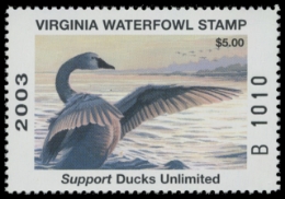 Scan of 2003 Virginia Duck Stamp