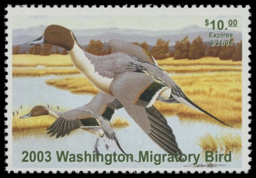 Scan of 2003 Washington Duck Stamp
