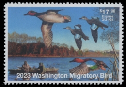 Scan of 2023 Washington Duck Stamp
