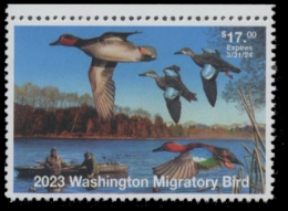 Scan of 2023 Washington Duck Stamp