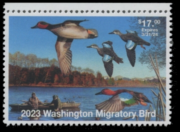 Scan of 2023 Washington Duck Stamp
