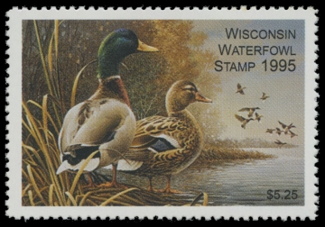 Scan of 1995 Wisconsin Duck Stamp