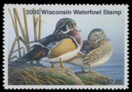 Scan of 2005 Wisconsin Duck Stamp