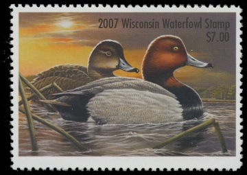 Scan of 2007 Wisconsin Duck Stamp