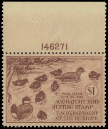 Scan of RW8 1941 Duck Stamp 