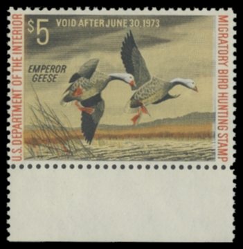 Scan of RW39 1972 Duck Stamp 