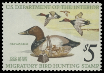 Scan of RW42 1975 Duck Stamp 
