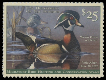 Scan of RW86 2019 Duck Stamp 