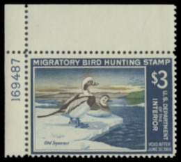 Scan of RW34 1967 Duck Stamp 