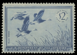 Scan of RW22 1955 Duck Stamp 