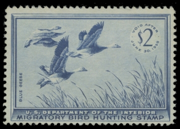 Scan of RW22 1955 Duck Stamp 