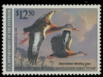 Scan of RW57 1990 Duck Stamp 