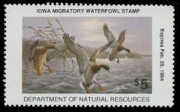 Scan of 1993 Iowa Duck Stamp