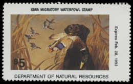 Scan of 1992 Iowa Duck Stamp