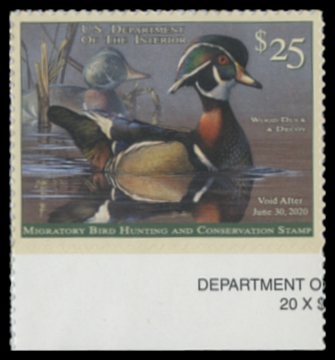 Scan of RW86 2019 Duck Stamp 