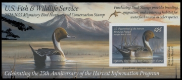 Scan of RW91A 2024 Duck Stamp 