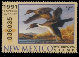 Scan of 1991 New Mexico Duck Stamp - First of State