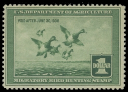 Scan of RW4 1937 Duck Stamp. Unsigned
