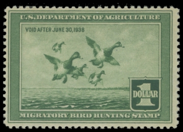 Scan of RW4 1937 Duck Stamp. Unsigned