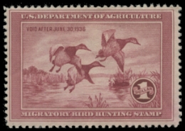 Scan of RW2 1935 Duck Stamp. MLH