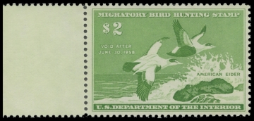 Scan of RW24 1957 Duck Stamp 