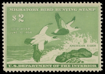 Scan of RW24 1957 Duck Stamp 