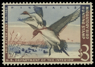 Scan of RW29 1962 Duck Stamp. MNH