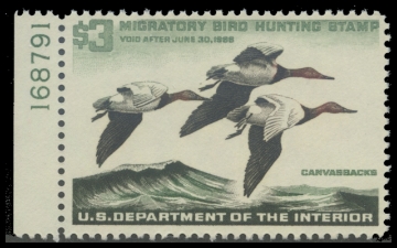 Scan of RW32 1965 Duck Stamp. MNH