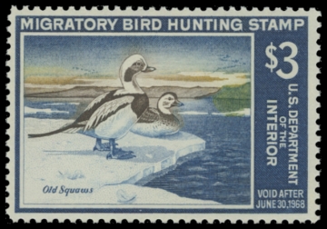 Scan of RW34 1967 Duck Stamp 