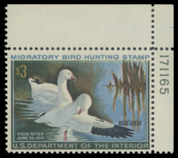 Scan of RW37 1970 Duck Stamp 