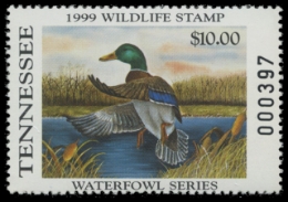 Scan of 1999 Tennessee Duck Stamp