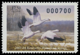 Picture of 2003 Kentucky Duck Stamp