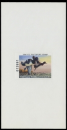 Picture of 2006 North Carolina Duck Stamp