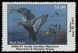 Picture of 2006 South Carolina Duck Stamp