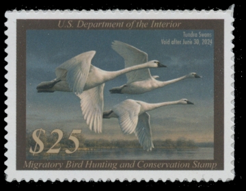 Picture of RW90 2023 Duck Stamp 