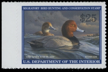 Picture of RW89 2022 Duck Stamp 