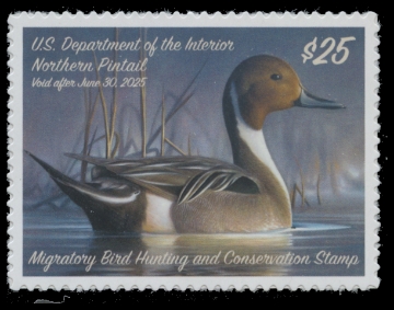 Picture of RW91 2024 Duck Stamp