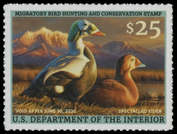 Picture of RW92 2025 Duck Stamp