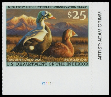 Picture of RW92 2025 Duck Stamp