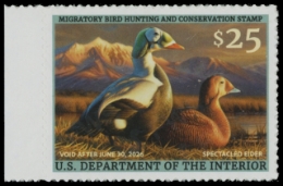 Picture of RW92 2025 Duck Stamp