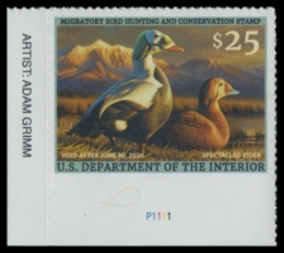 Picture of RW92 2025 Duck Stamp