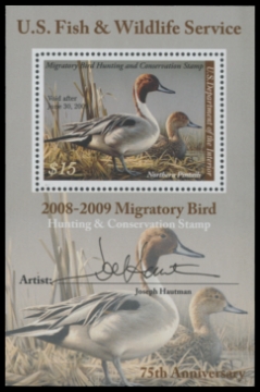 Picture of RW75B 2008 Duck Stamp