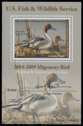 Picture of RW75B 2008 Duck Stamp
