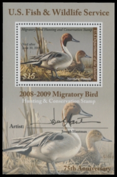 Picture of RW75B 2008 Duck Stamp